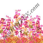 Colour:J