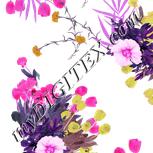 Colour:B