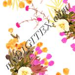 Colour:J