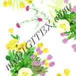 Colour:K