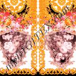 Colour:J