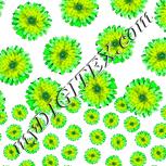 Colour:D