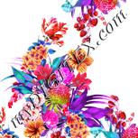 Colour:B