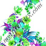 Colour:C