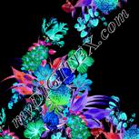 Colour:F
