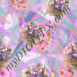 Colour:B