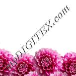 Colour:A