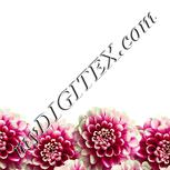 Colour:K