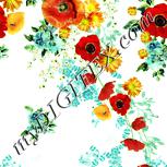 Colour:K