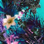 Colour:B