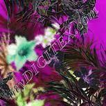 Colour:D