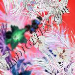Colour:F