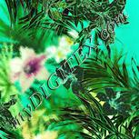 Colour:K