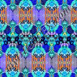 Colour:F