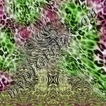 Colour:C