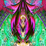 Colour:B