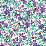 Colour:B