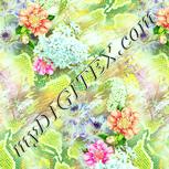 Colour:K