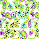 Colour:K