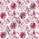 Colour:B