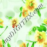 Colour:K