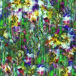 Colour:K