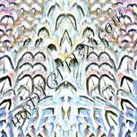 Colour:F