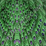 Colour:K