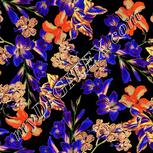 Colour:A