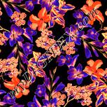 Colour:J