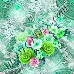 Colour:C