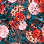 Colour:J