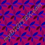 Colour:F