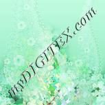 Colour:D