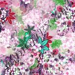 Colour:B
