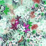 Colour:C