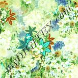 Colour:K