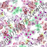 Colour:B