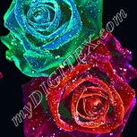 Colour:K