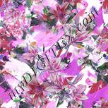 Colour:B
