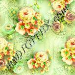 Colour:K