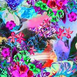 Colour:B