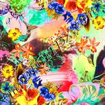 Colour:J