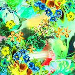 Colour:K