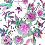 Colour:B