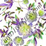Colour:D