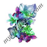Colour:D