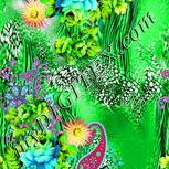 Colour:B