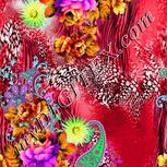 Colour:C