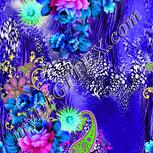 Colour:D